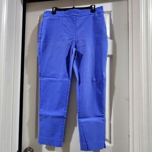 Chico's Royal Blue Garment